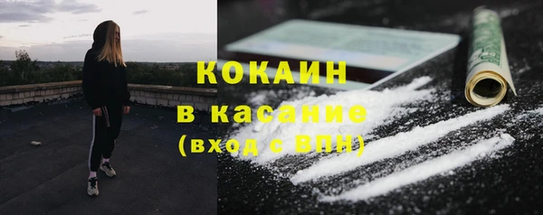 гашик Инта