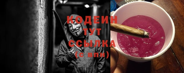 гашик Инта