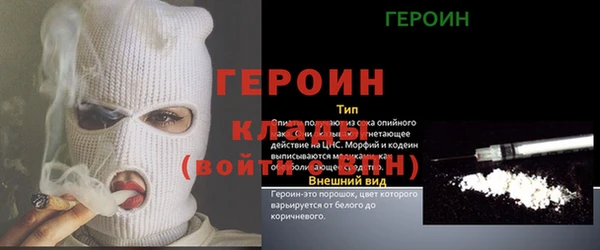 гашик Инта
