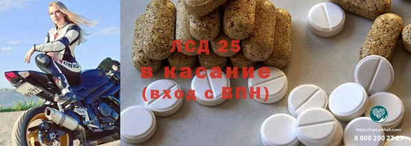 гашик Инта