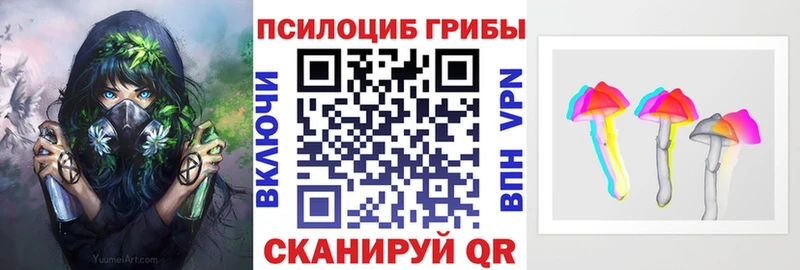 Псилоцибиновые грибы мухоморы  Купить где  Знаменск 