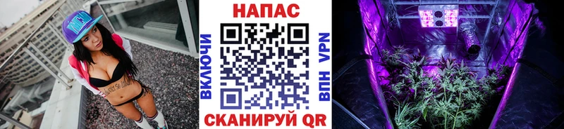 Каннабис сатива  Купить  Знаменск 